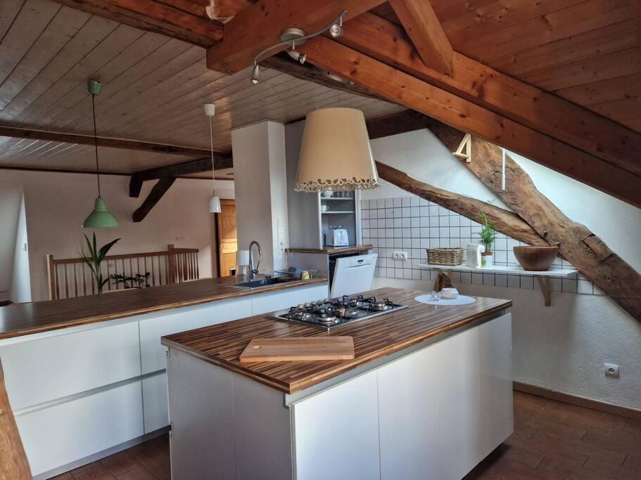 Appartement Le Grenier à Dannemarie  Extérieur photo