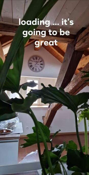 Appartement Le Grenier à Dannemarie  Extérieur photo